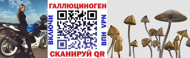 где продают Томилино Галлюциногенные грибы GOLDEN TEACHER